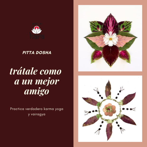 Pitta dosha