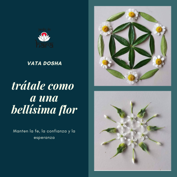 Vata dosha